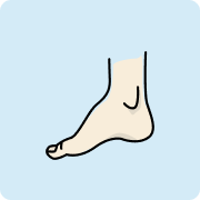 Foot & Ankle Surgery